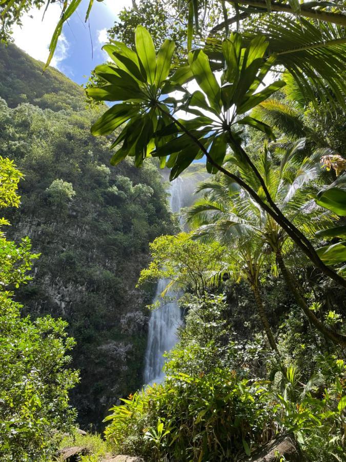 Апартаменты Ka Hale Kealoha Каункакай Экстерьер фото