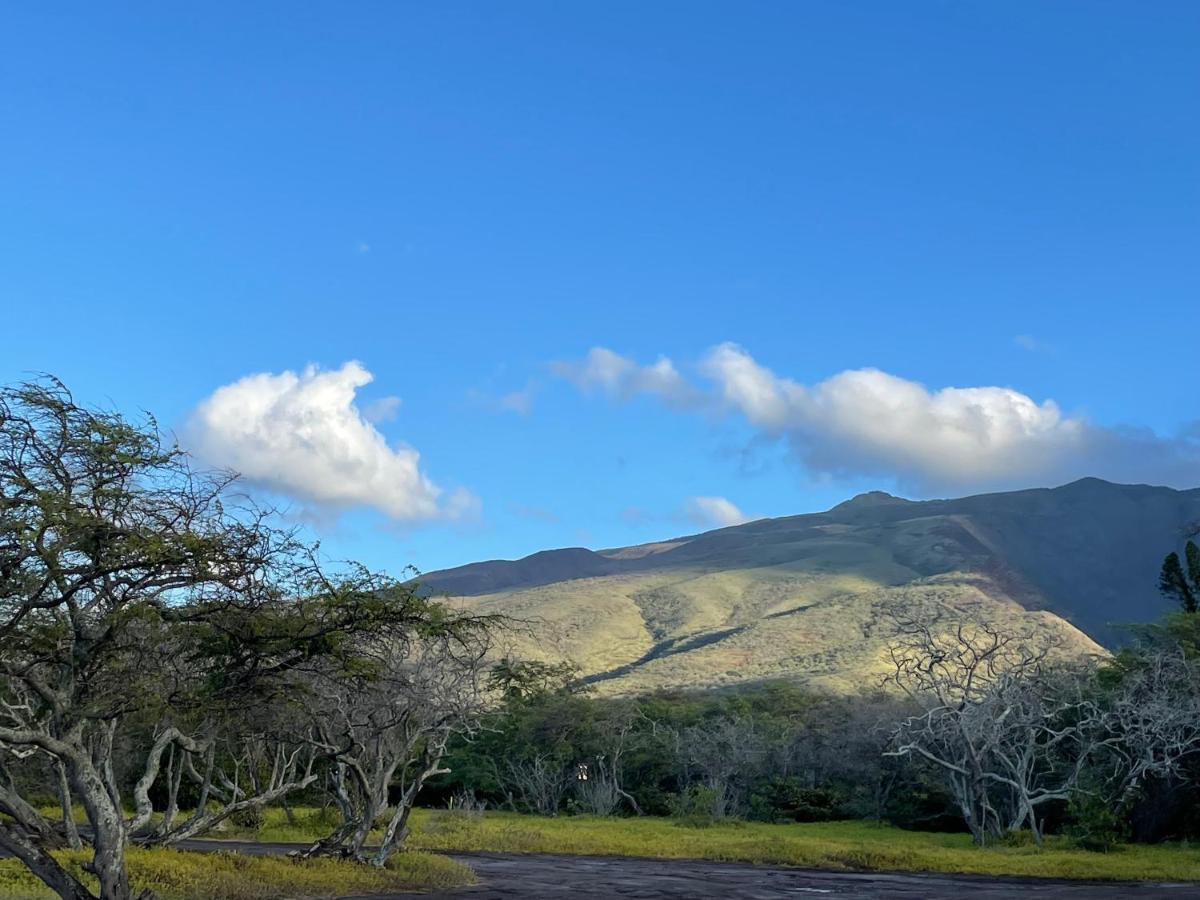 Апартаменты Ka Hale Kealoha Каункакай Экстерьер фото