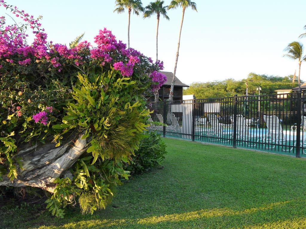 Апартаменты Ka Hale Kealoha Каункакай Экстерьер фото