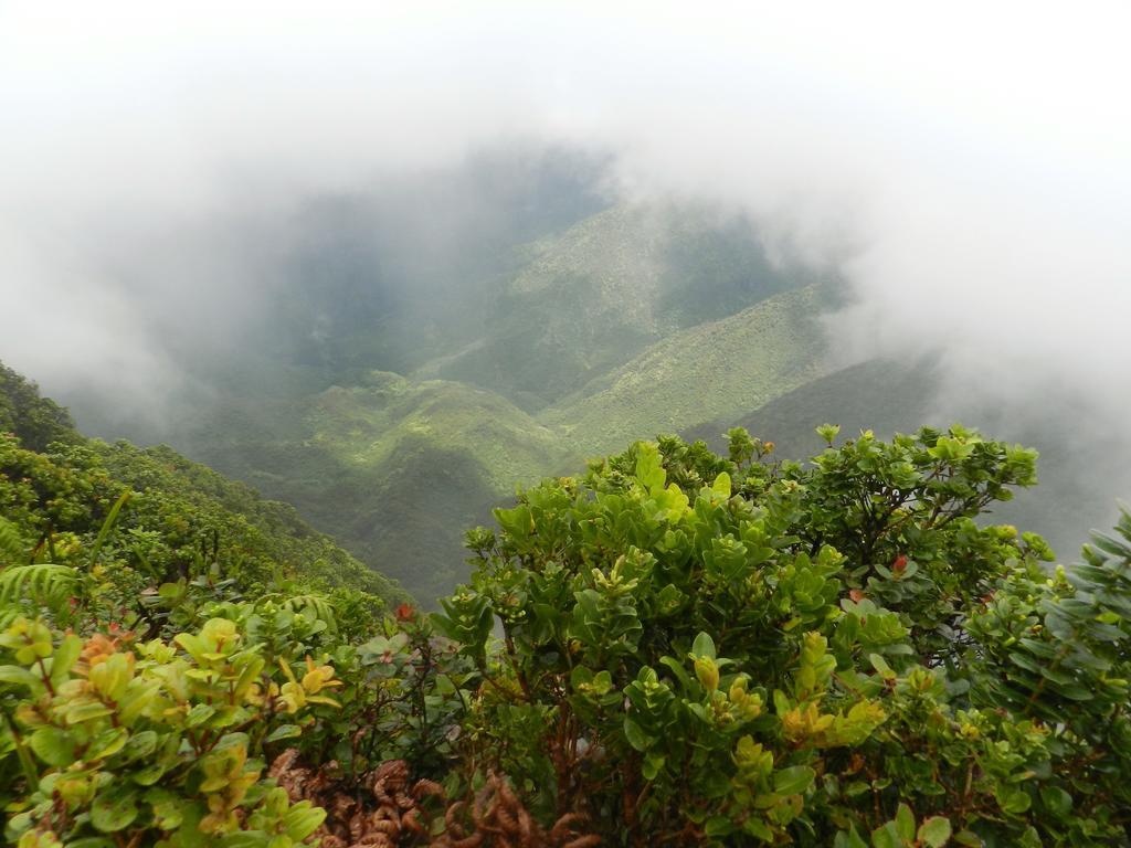 Апартаменты Ka Hale Kealoha Каункакай Экстерьер фото